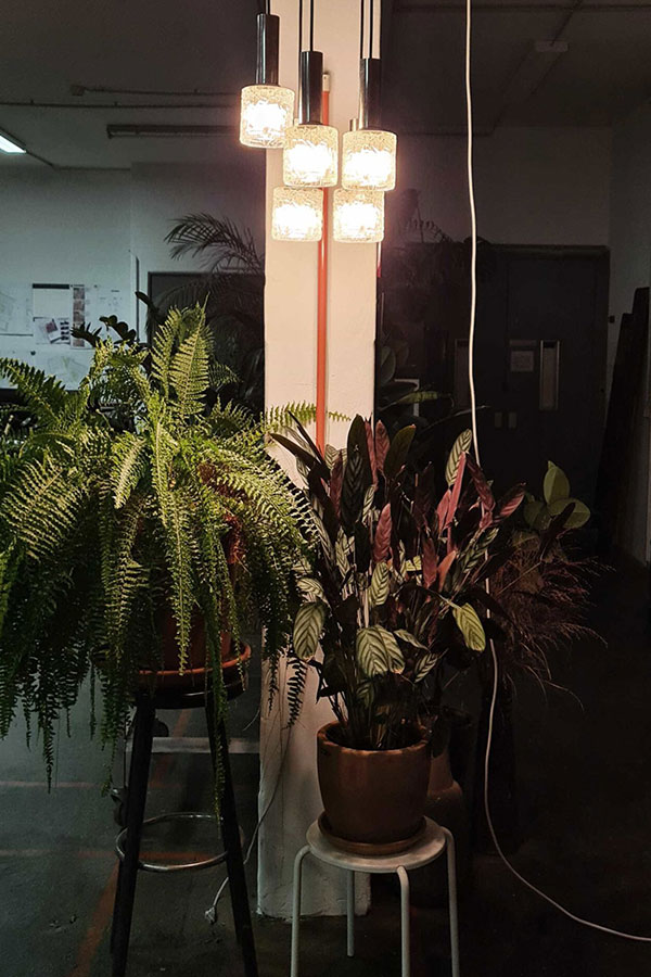 Event Location with loads of plants